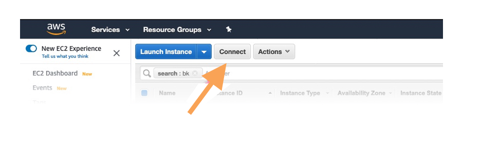 find your EC2 instance