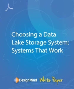 Data Lake Storage System 1
