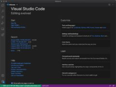 Setting up VS code for remote development is easy